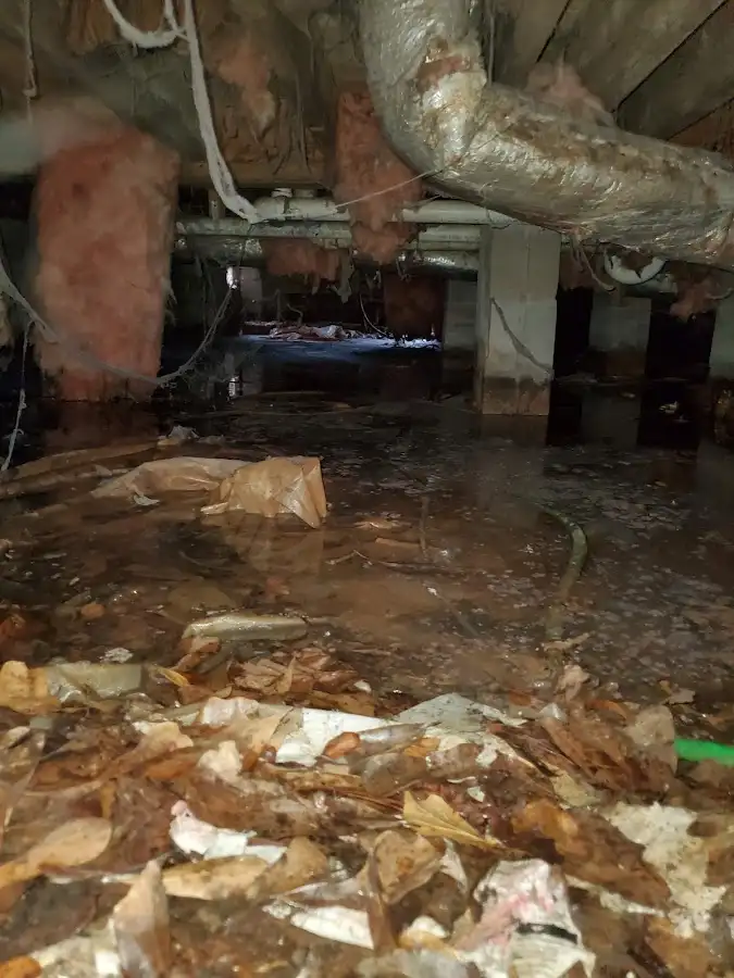 Crawl space flood assessment for Leak Detection & Repair in Auburn